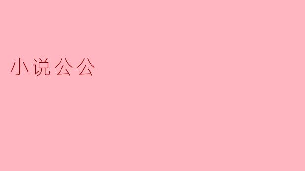 小说公公
