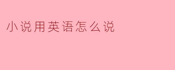 小说用英语怎么说？  