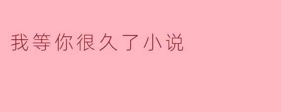 我等你很久了小说