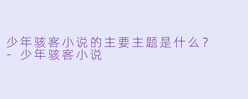 少年骇客小说的主要主题是什么?