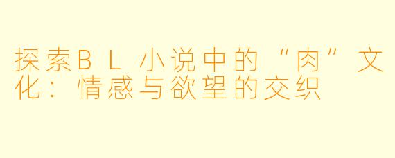 探索BL小说中的“肉”文化：情感与欲望的交织