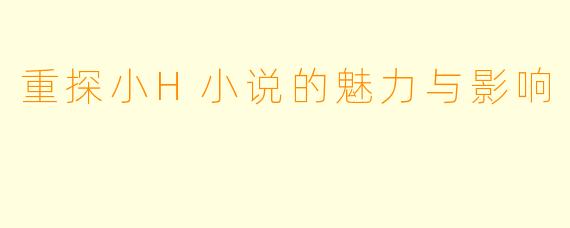 重探小H小说的魅力与影响