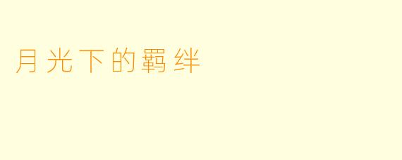 月光下的羁绊