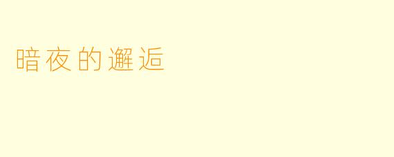 暗夜的邂逅