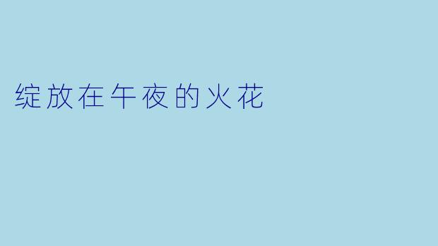 绽放在午夜的火花
