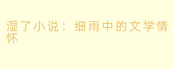 湿了小说：细雨中的文学情怀