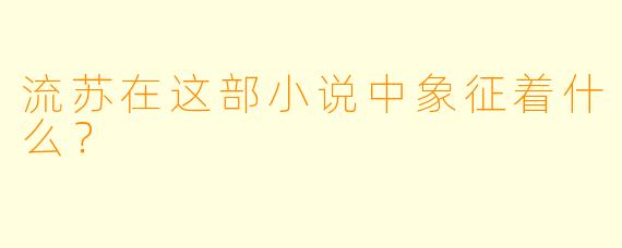 流苏在这部小说中象征着什么？