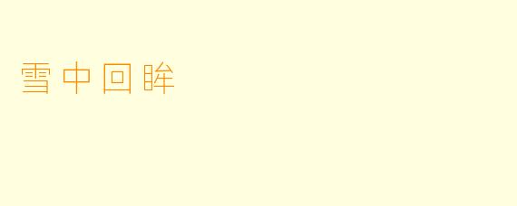 雪中回眸