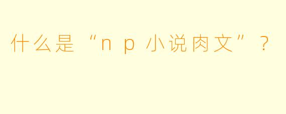 什么是“np小说肉文”？