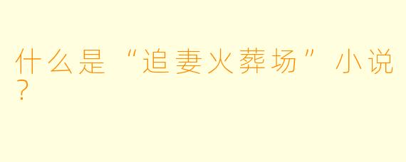 什么是“追妻火葬场”小说?