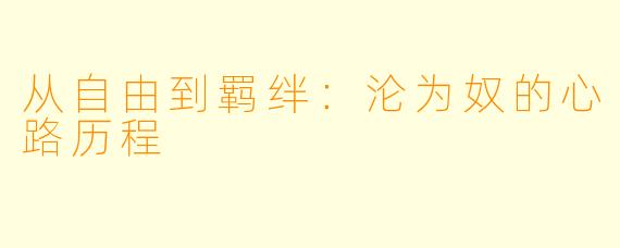 从自由到羁绊：沦为奴的心路历程