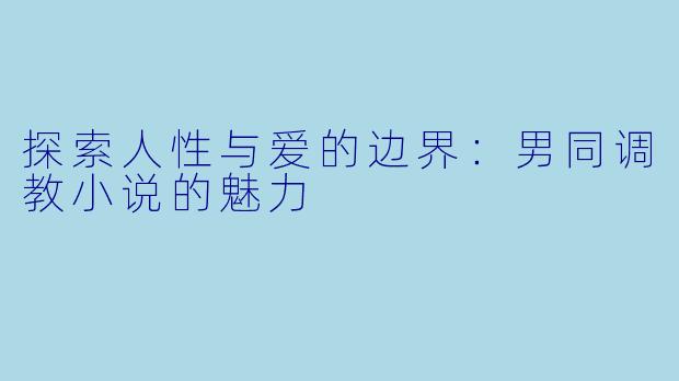 探索人性与爱的边界：男同调教小说的魅力