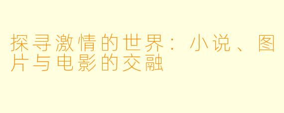 探寻激情的世界：小说、图片与电影的交融
