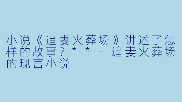 小说《追妻火葬场》讲述了怎样的故事?**