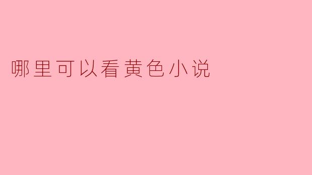 寻找黄色小说的合法途径与注意事项