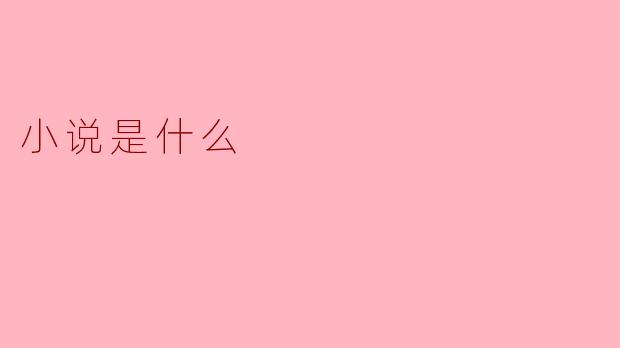小说是什么