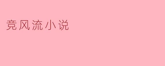 竞风流小说