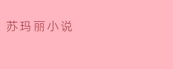 苏玛丽小说