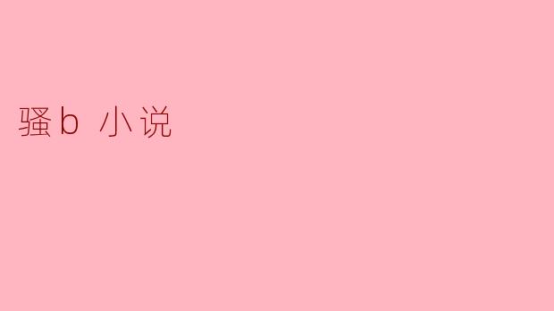 骚b小说