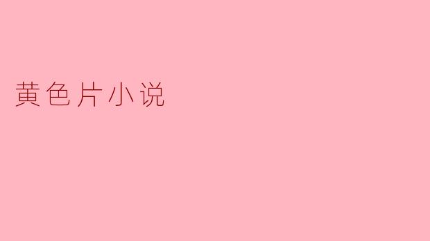 什么是“黄色片小说”,它与其他类型的小说有什么区别?