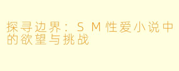 探寻边界：SM性爱小说中的欲望与挑战