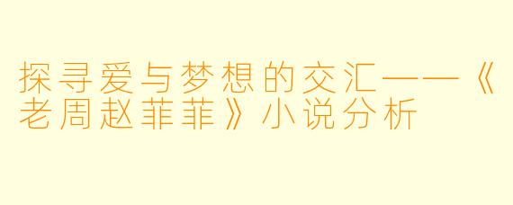 探寻爱与梦想的交汇——《老周赵菲菲》小说分析