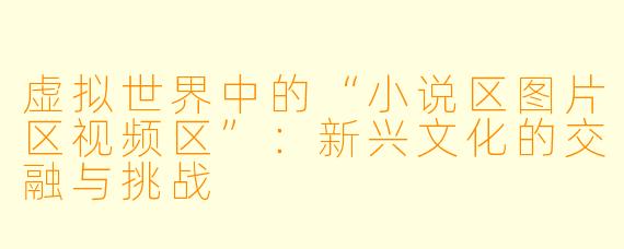 虚拟世界中的“小说区图片区视频区”：新兴文化的交融与挑战