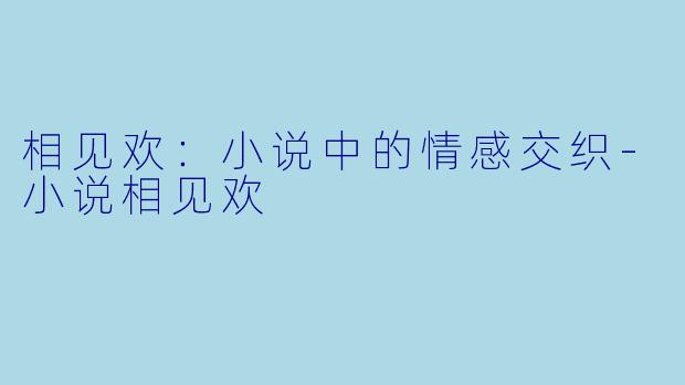 相见欢:小说中的情感交织