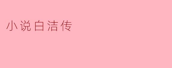 小说白洁传