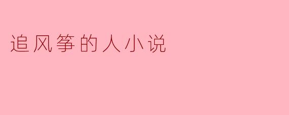 追风筝的人小说