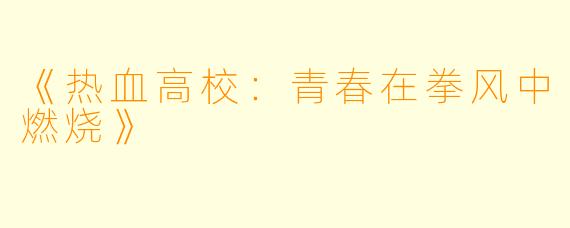 《热血高校：青春在拳风中燃烧》
