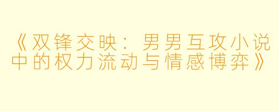 《双锋交映：男男互攻小说中的权力流动与情感博弈》