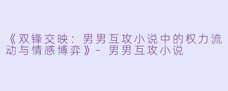 《双锋交映：男男互攻小说中的权力流动与情感博弈》-男男互攻小说