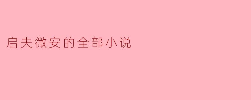 你能简要介绍一下《启夫微安》这部小说的主要内容和主题吗?