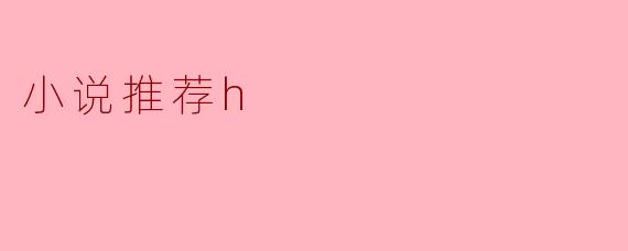 小说推荐h