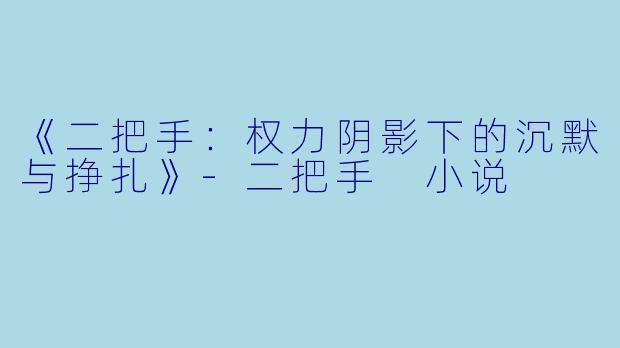 《二把手：权力阴影下的沉默与挣扎》-二把手 小说