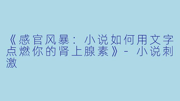 《感官风暴：小说如何用文字点燃你的肾上腺素》-小说刺激