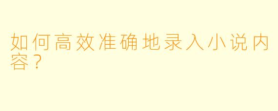 如何高效准确地录入小说内容?