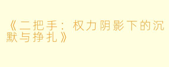 《二把手：权力阴影下的沉默与挣扎》