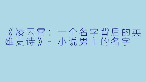 《凌云霄：一个名字背后的英雄史诗》-小说男主的名字