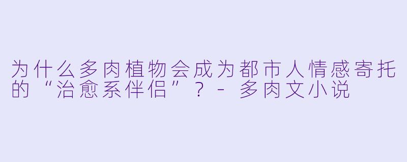 为什么多肉植物会成为都市人情感寄托的“治愈系伴侣”？-多肉文小说