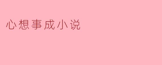 心想事成小说