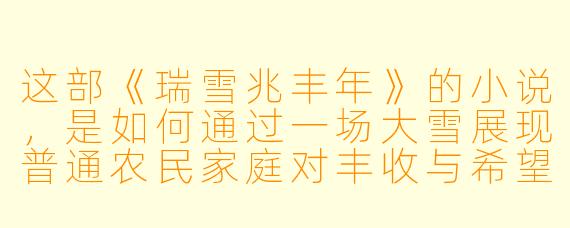 这部《瑞雪兆丰年》的小说，是如何通过一场大雪展现普通农民家庭对丰收与希望的坚守的？
