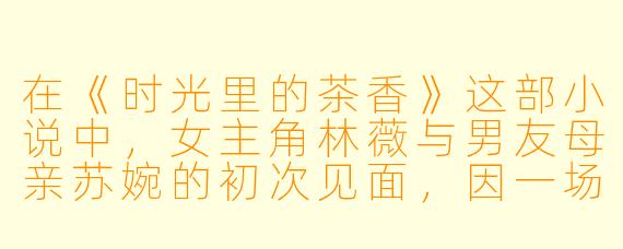 在《时光里的茶香》这部小说中，女主角林薇与男友母亲苏婉的初次见面，因一场暴雨被困在山间茶馆。在潮湿的木屋里，苏婉为何突然提起自己年轻时遗失的一枚琥珀胸针？这个细节对后续两人关系的转折有何隐喻？